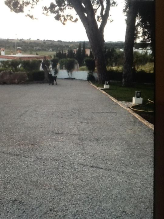 Appartamento Casa Las Ciguenas Vejer de la Frontera Esterno foto
