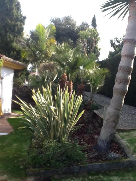 Appartamento Casa Las Ciguenas Vejer de la Frontera Esterno foto