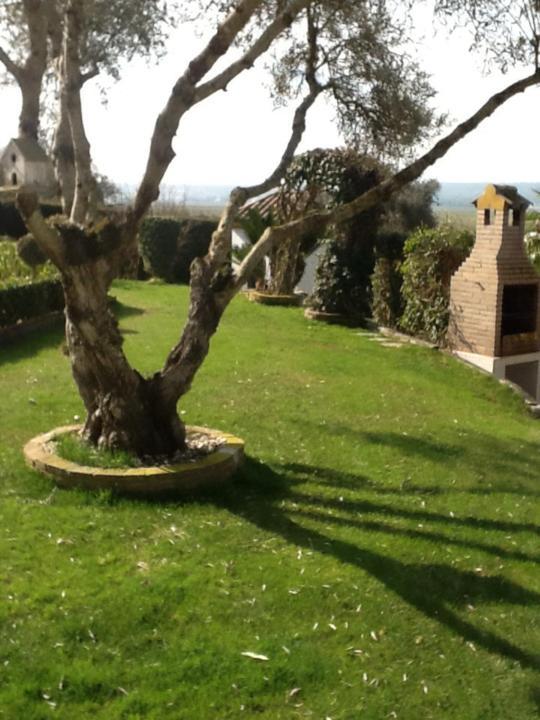 Appartamento Casa Las Ciguenas Vejer de la Frontera Esterno foto