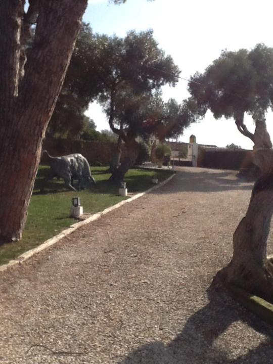 Appartamento Casa Las Ciguenas Vejer de la Frontera Esterno foto